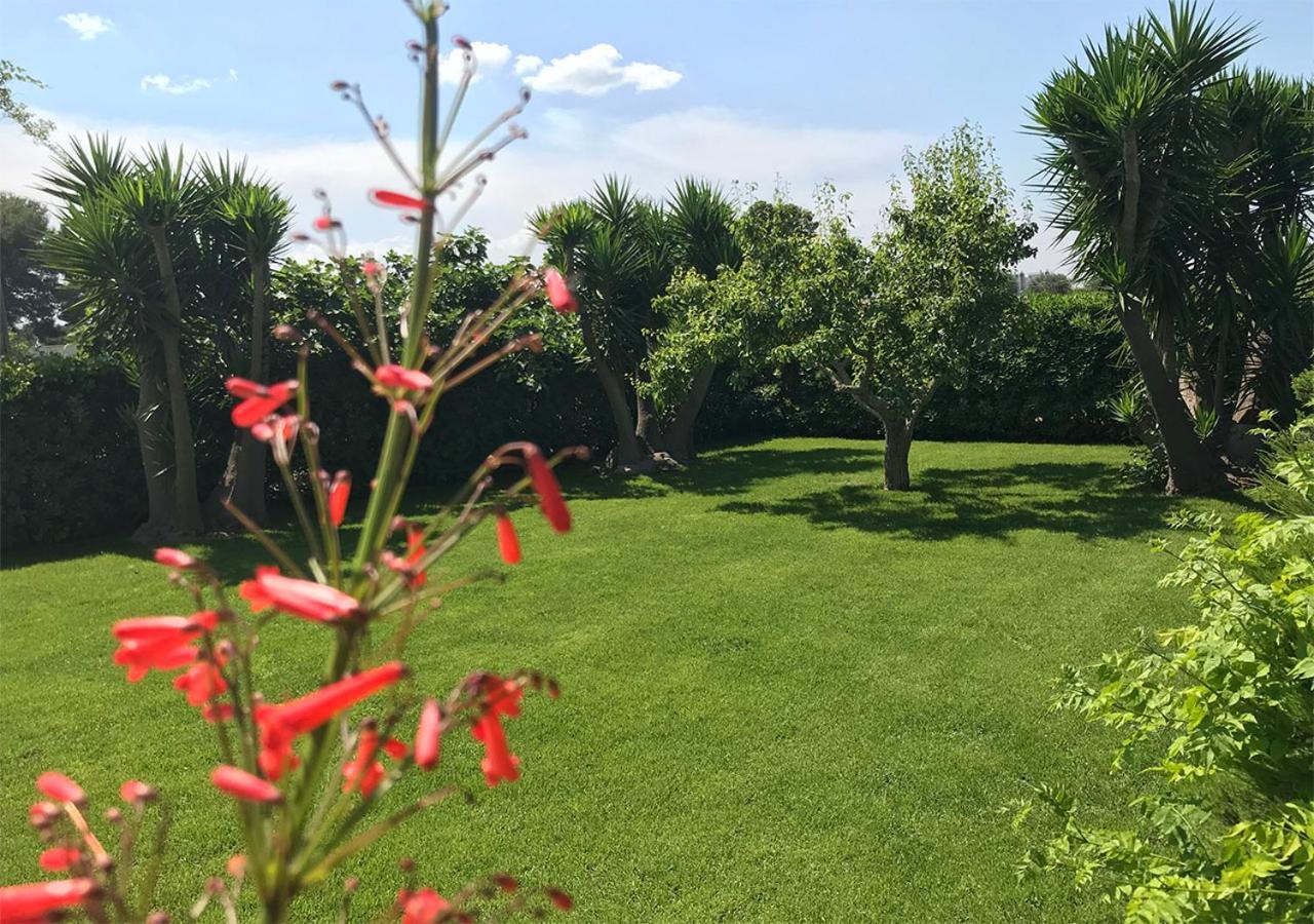 Antica Casina B&B Di Charme Pulsano Zewnętrze zdjęcie