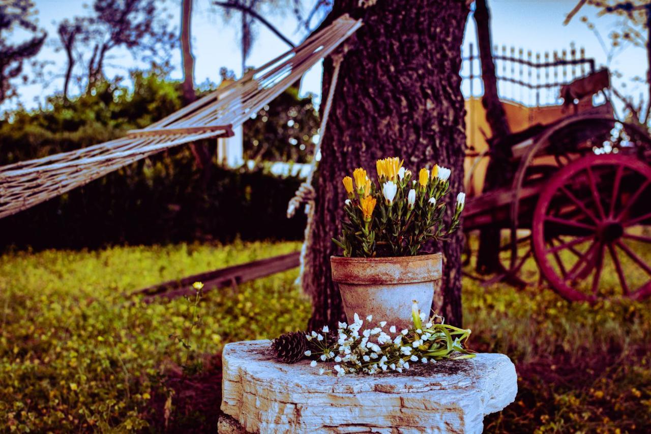 Antica Casina B&B Di Charme Pulsano Zewnętrze zdjęcie